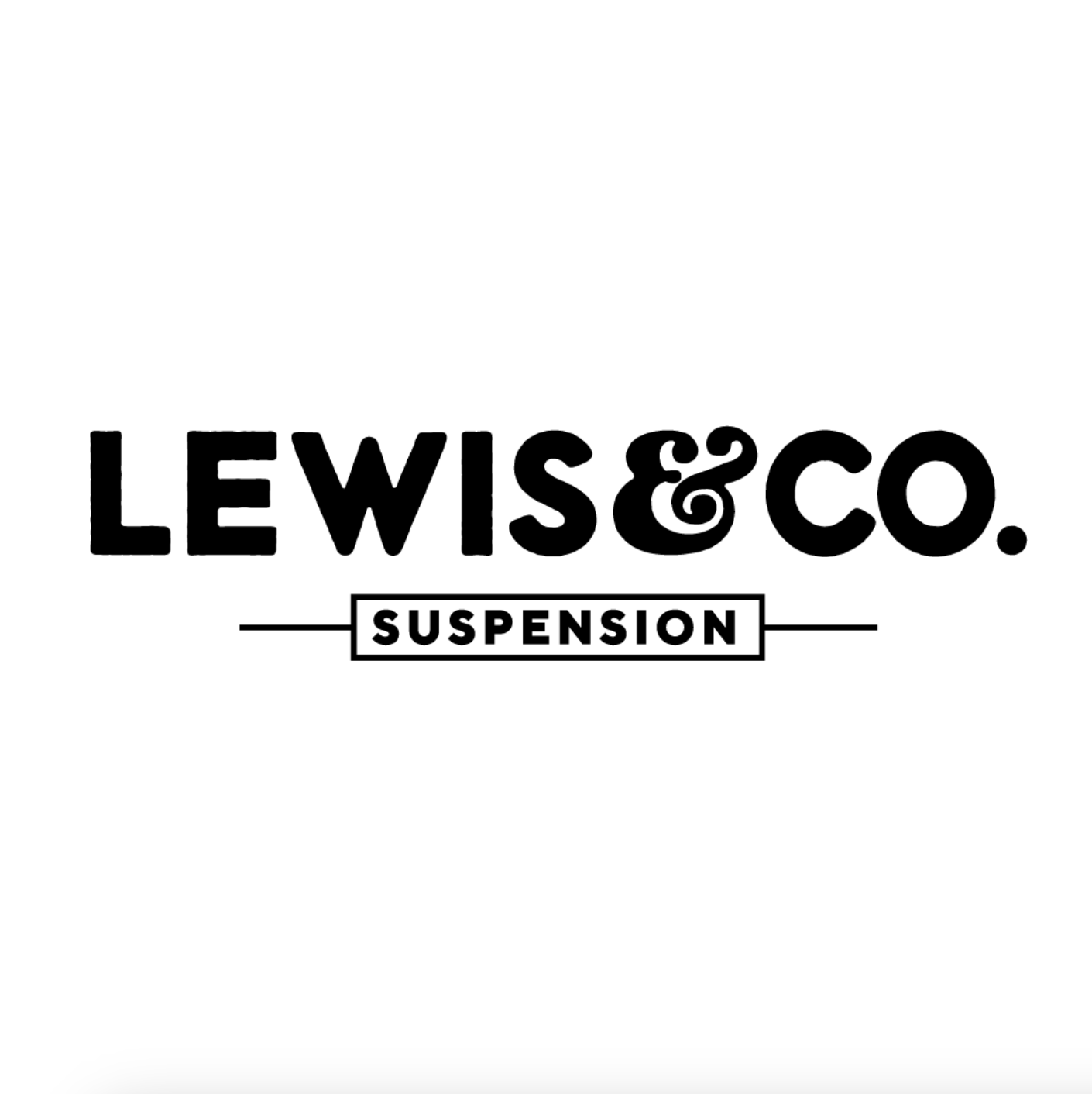 Lewis & Co Bike Suspension Service Book Now